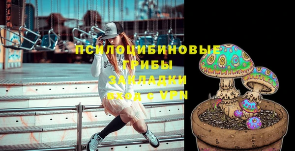 a pvp Заводоуковск