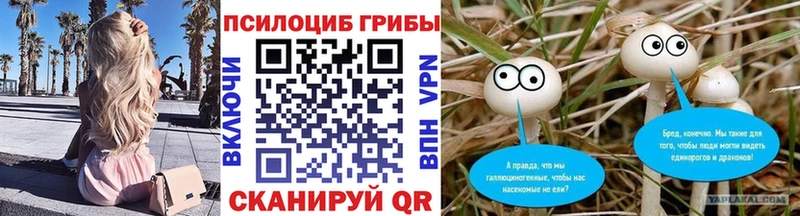 сколько стоит Венёв ссылка на мегу как зайти Псилоцибиновые грибы Psilocybine cubensis