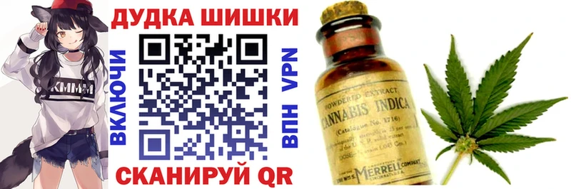 где найти   Венёв  Канабис индика 